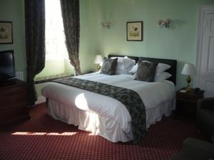 Hotel Photos
