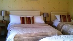 Hotel Photos