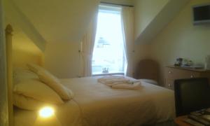 Hotel Photos