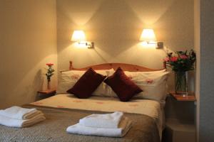 Hotel Photos