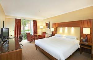 Hotel Photos
