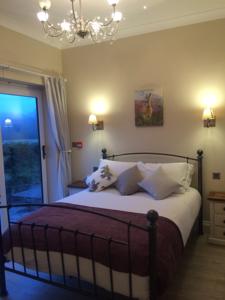 Hotel Photos