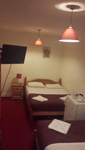 Hotel Photos