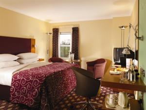 Hotel Photos