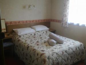 Hotel Photos