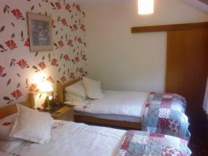 Hotel Photos