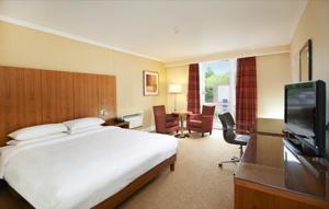 Hotel Photos