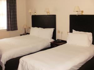 Hotel Photos