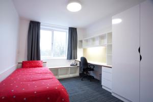 Hotel Photos