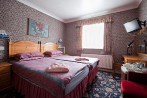 Hotel Photos