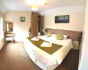 Hotel Photos