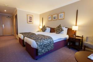 Hotel Photos