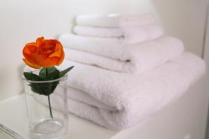 Hotel Photos