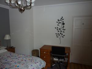 Hotel Photos