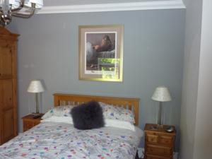 Hotel Photos