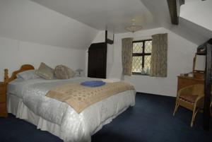 Hotel Photos