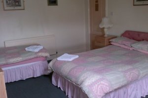 Hotel Photos
