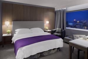 Hotel Photos