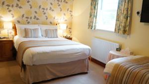 Hotel Photos