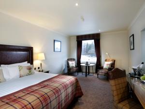 Hotel Photos