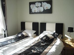 Hotel Photos