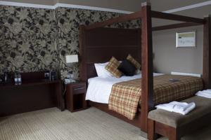 Hotel Photos