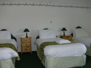 Hotel Photos