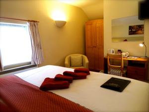 Hotel Photos