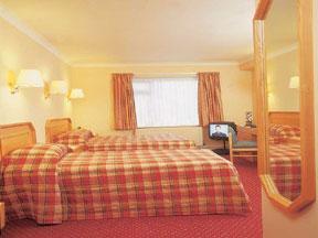 Hotel Photos