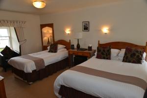 Hotel Photos