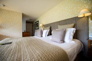 Hotel Photos