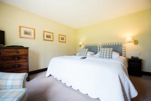 Hotel Photos