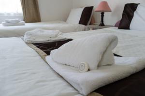 Hotel Photos