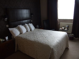 Hotel Photos