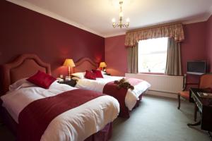 Hotel Photos