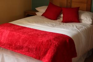 Hotel Photos