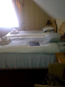 Hotel Photos