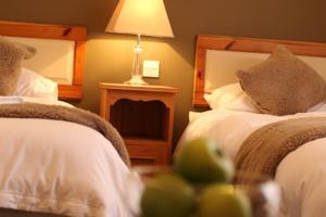 Hotel Photos
