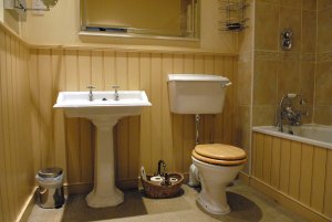 Hotel Photos