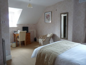 Hotel Photos