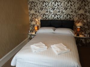 Hotel Photos