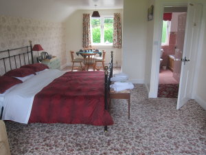 Hotel Photos