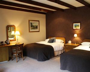 Hotel Photos