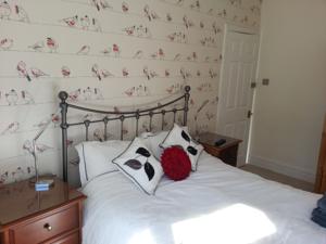 Hotel Photos