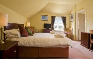 Hotel Photos