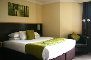 Hotel Photos