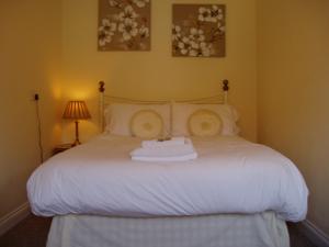 Hotel Photos