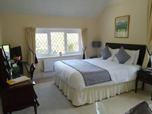 Hotel Photos
