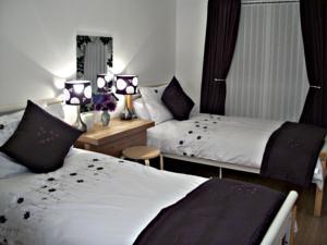 Hotel Photos