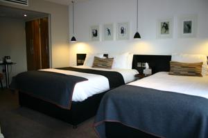Hotel Photos